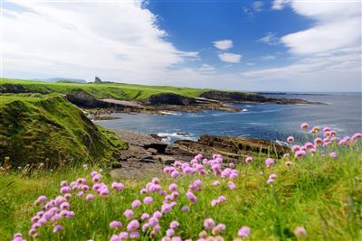 Mullaghmore Head